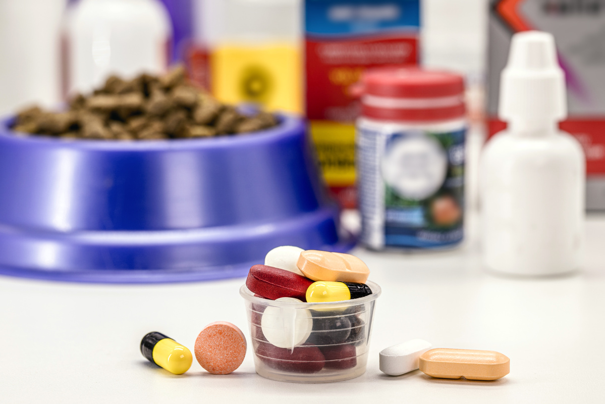 veterinary pills or medication, pet medication, pet supplements or vitamins, with pet food in the background